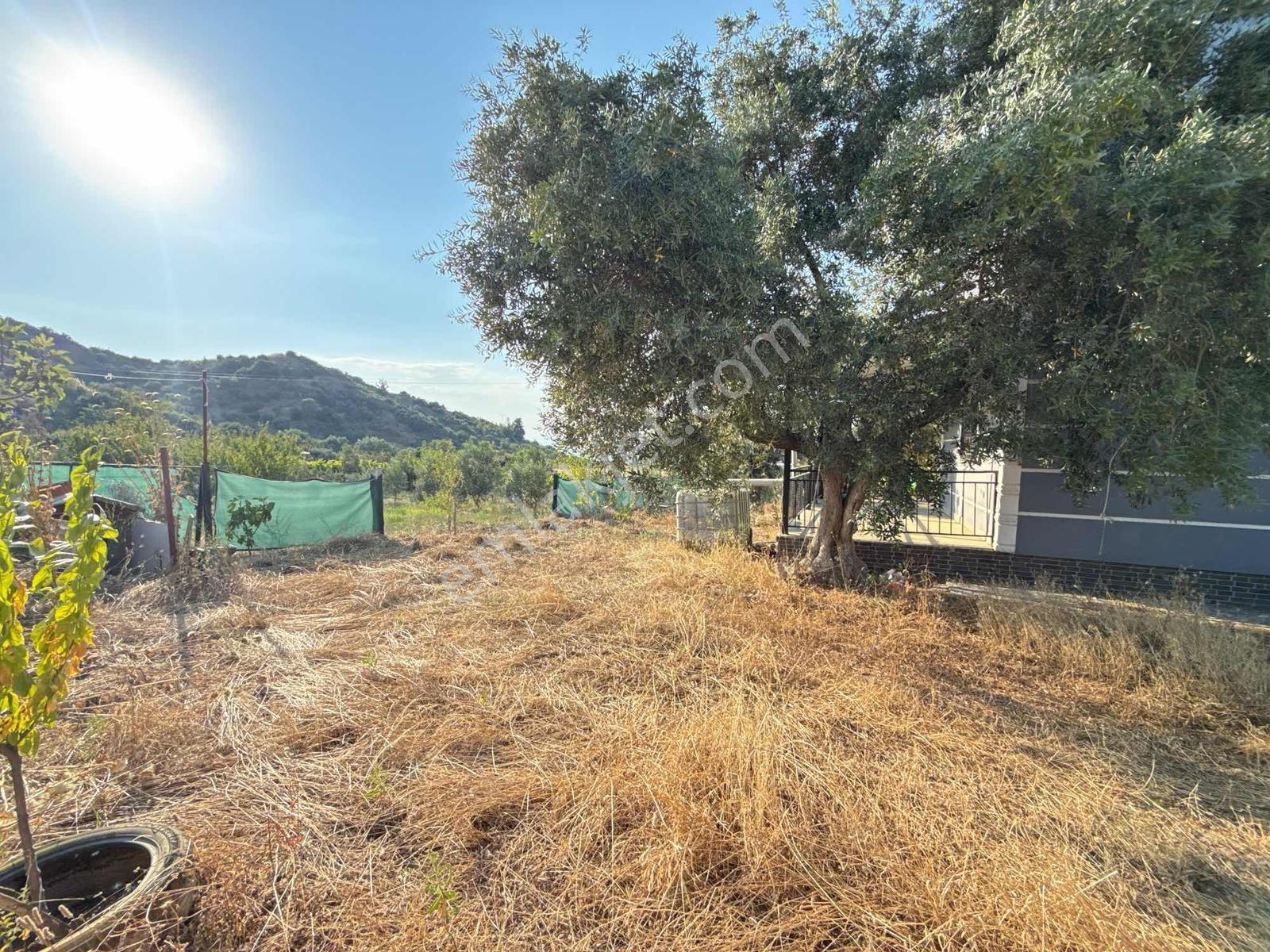 Dalbahçe Yolu Üzerinde 1.715 M2 Yerleşim Yeri — fotoğraf 19