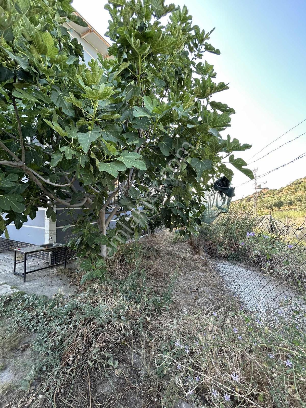 Dalbahçe Yolu Üzerinde 1.715 M2 Yerleşim Yeri — fotoğraf 24