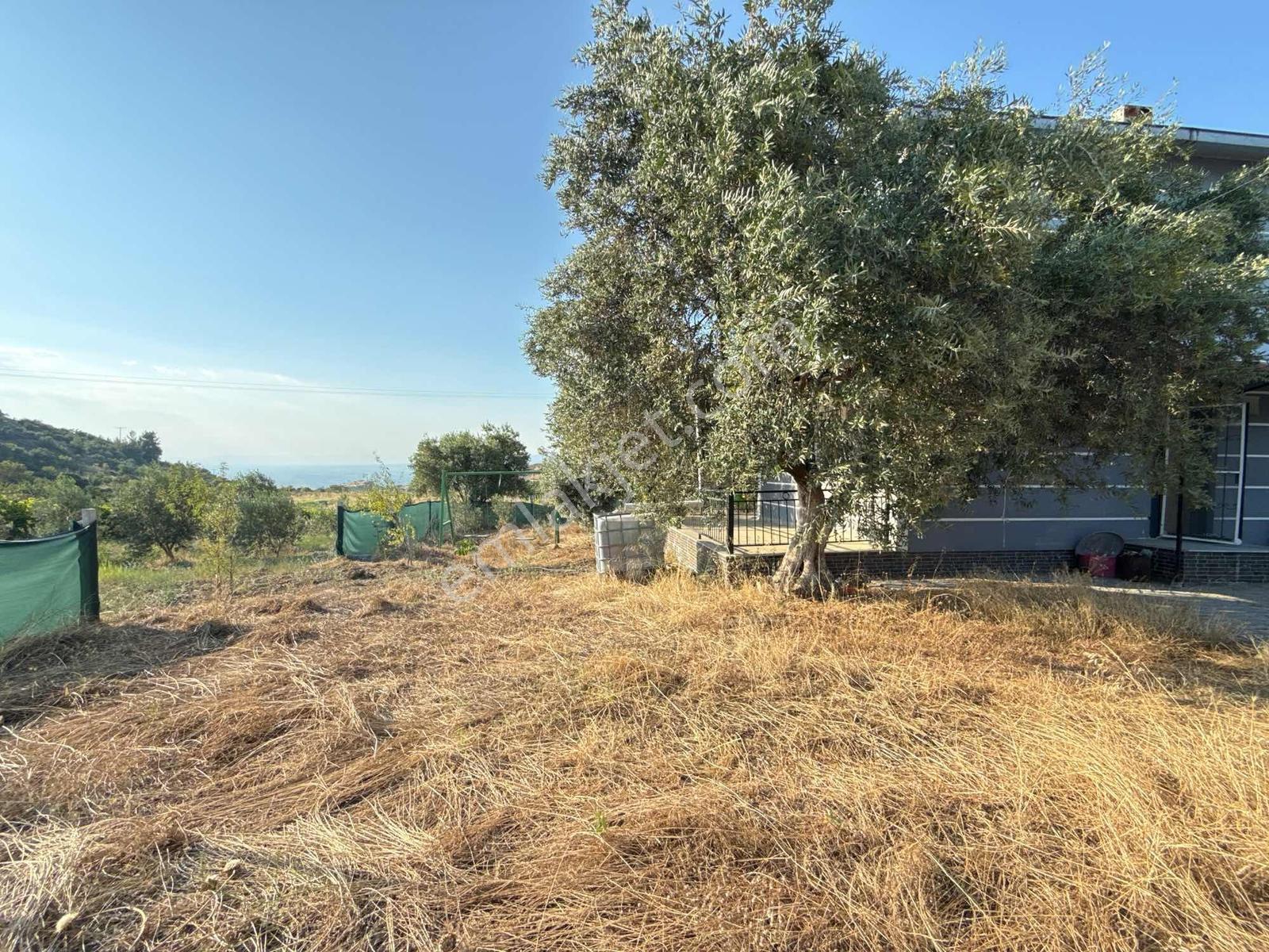 Dalbahçe Yolu Üzerinde 1.715 M2 Yerleşim Yeri — fotoğraf 27