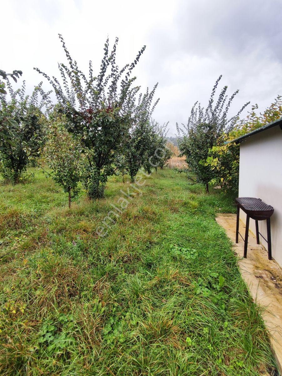 Sorgun Yaylasında 3+1 Yaylalık — fotoğraf 3