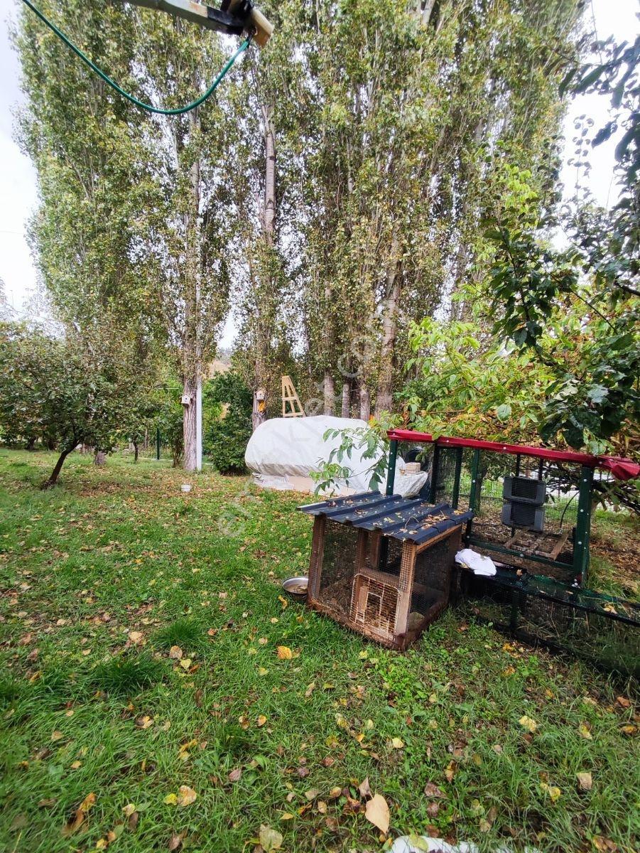 Sorgun Yaylasında 3+1 Yaylalık — fotoğraf 12