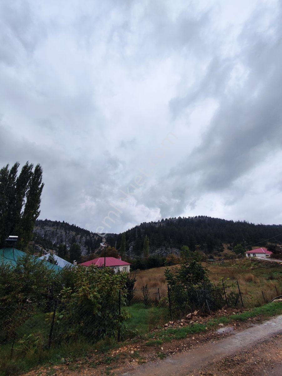 Sorgun Yaylasında 3+1 Yaylalık — fotoğraf 17