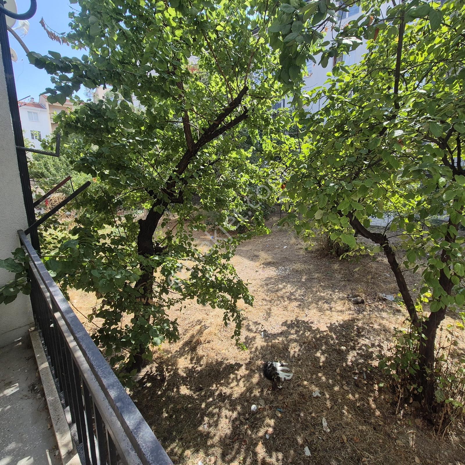 Rw Detay'dan Yenidoğan Mah. Satılık 3+1 Daire — fotoğraf 18
