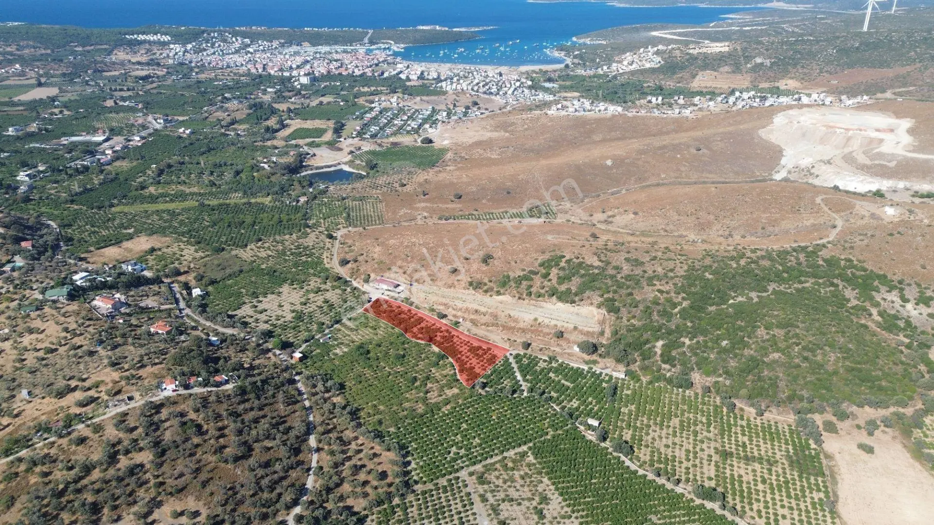 Seferihisar Sığacık Taşdibi’nde 4.915 M² Satılık Mandalina Bahçesi — fotoğraf 2