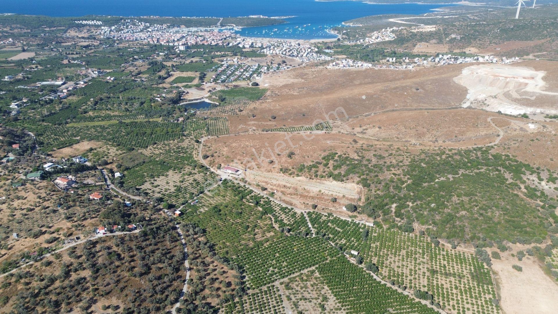 Seferihisar Sığacık Taşdibi’nde 4.915 M² Satılık Mandalina Bahçesi — fotoğraf 19