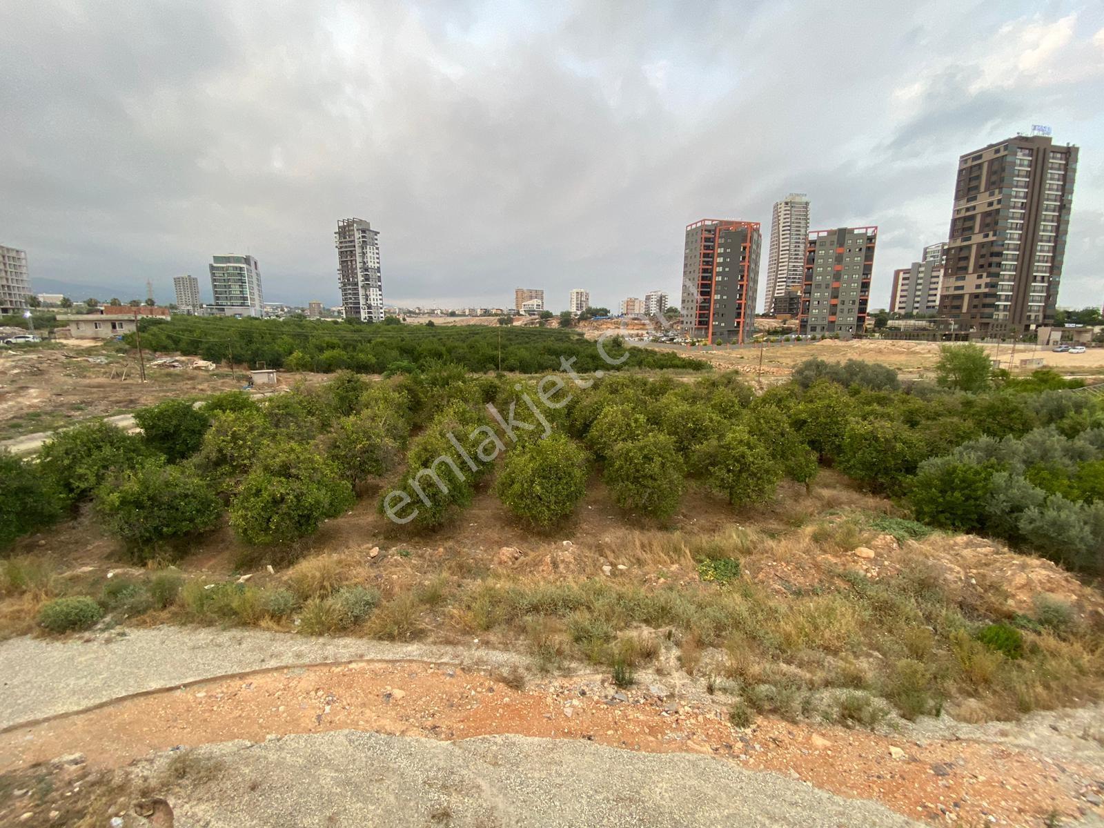 Remax Palm'den 34'üncü Cadde Üzeri Yatırımlık Eşyalı 1+1 Daire — fotoğraf 8