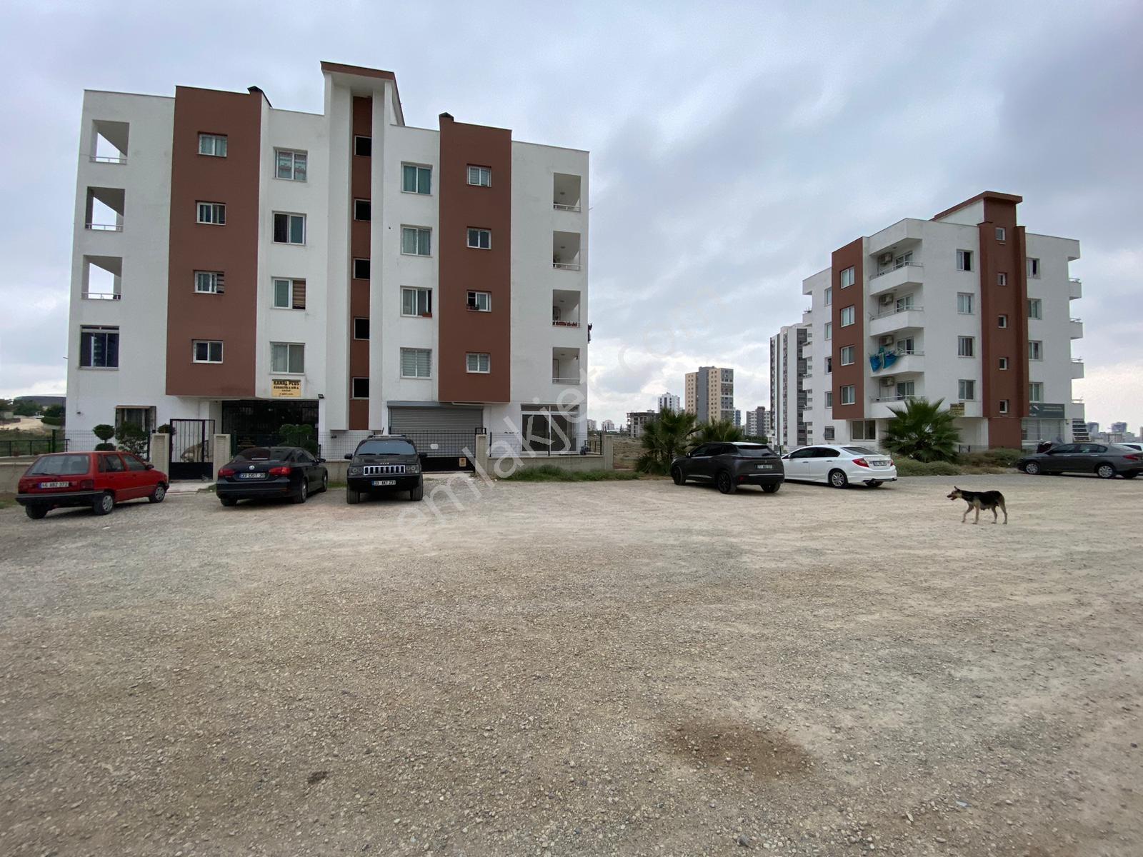 Remax Palm'den 34'üncü Cadde Üzeri Yatırımlık Eşyalı 1+1 Daire — fotoğraf 11