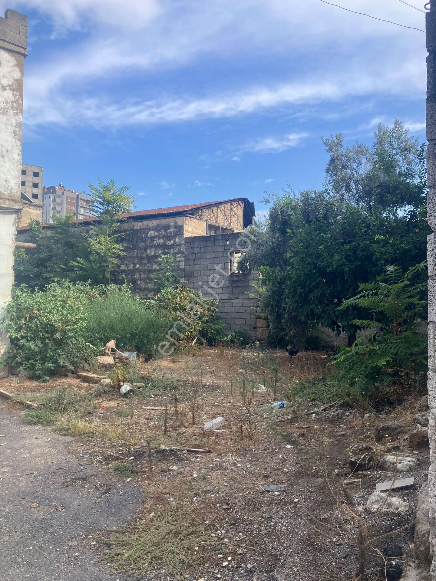 Çerçi Emlak'tan Fatih Mah.satılık Ev — fotoğraf 18