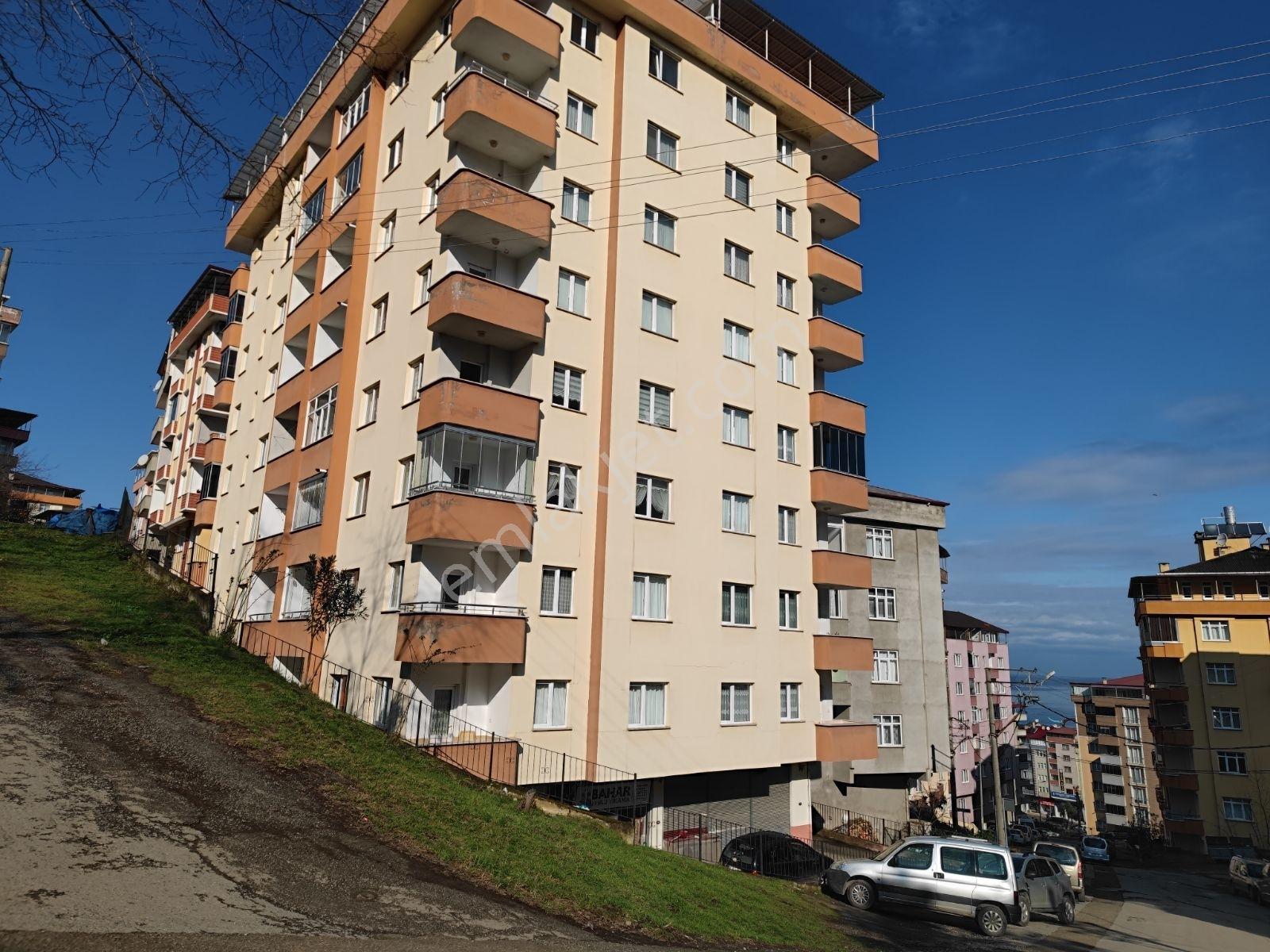 Royal'den Yomra'da İki Daire Tek Fiyat! - 325m² Yatırım Fırsatı! — fotoğraf 2