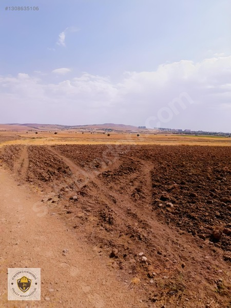 Şahinkaya Da Satılık 5.024m2 Parsel — fotoğraf 14