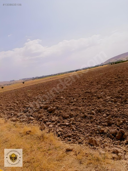 Şahinkaya Da Satılık 5.024m2 Parsel — fotoğraf 23