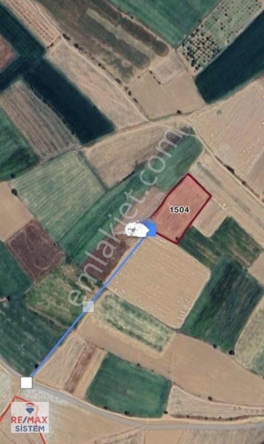 *afyonkarahisar Dinar Dikici 5.150 M² Satılık Tarla* — fotoğraf 5