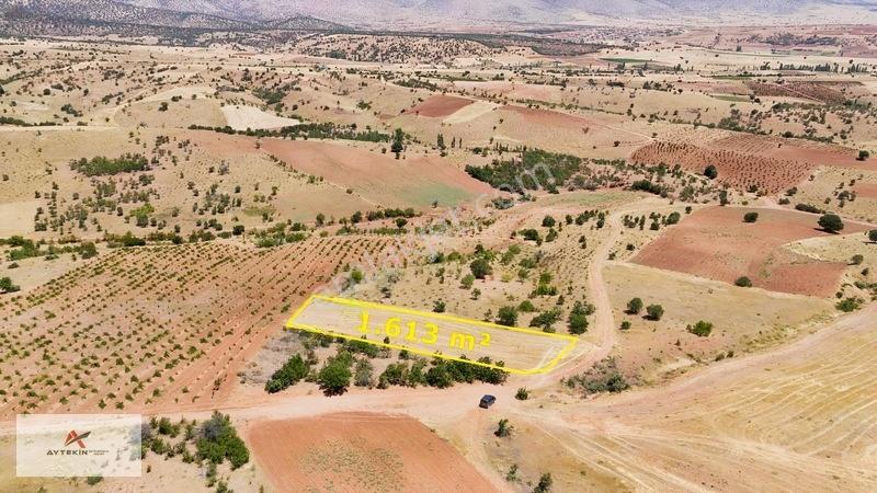 Karaman Merkez Muratdede Mahallesinde 1.613 M² Müstakil Bağ — fotoğraf 2