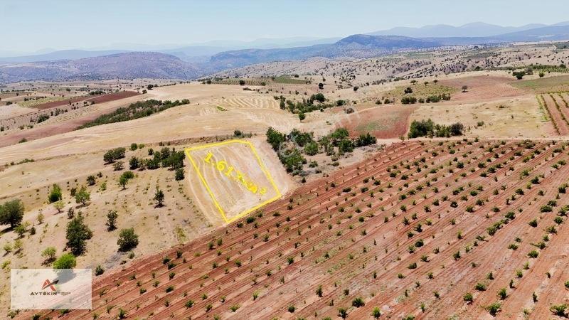 Karaman Merkez Muratdede Mahallesinde 1.613 M² Müstakil Bağ — fotoğraf 3