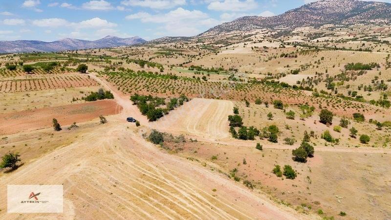 Karaman Merkez Muratdede Mahallesinde 1.613 M² Müstakil Bağ — fotoğraf 5