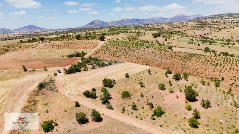 Karaman Merkez Muratdede Mahallesinde 1.613 M² Müstakil Bağ — fotoğraf 6