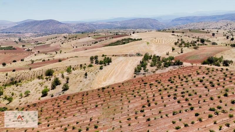 Karaman Merkez Muratdede Mahallesinde 1.613 M² Müstakil Bağ — fotoğraf 7