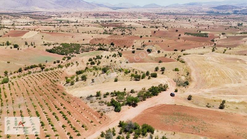 Karaman Merkez Muratdede Mahallesinde 1.613 M² Müstakil Bağ — fotoğraf 8