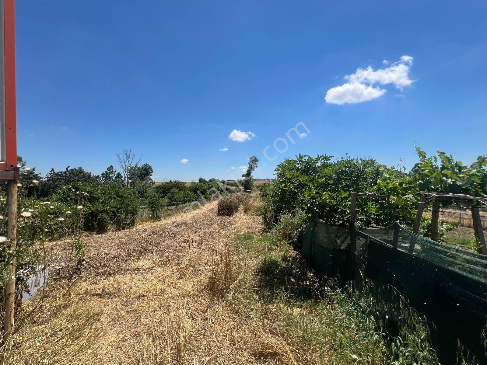 Silivri Çeltik'te Yerleşimin İçinde Müstakil Tapulu Satılık Arsa — fotoğraf 10