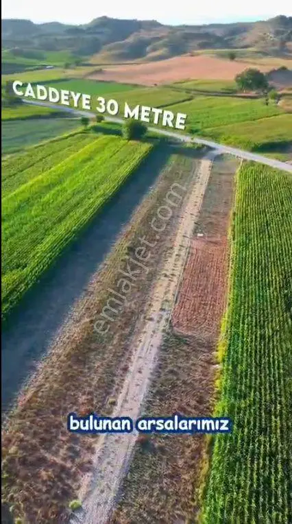 Çukurova *salbaş *pirili *mevkinde Satılık 500er M2* Hobi Bahçe*leri.video Bak — fotoğraf 3