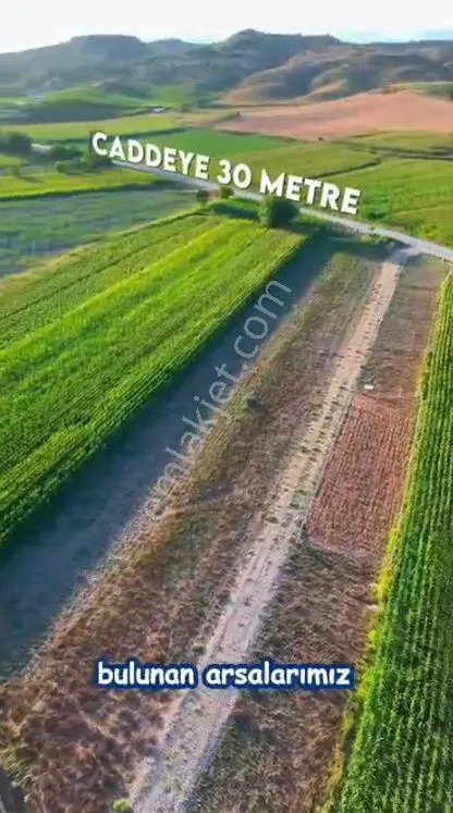 Çukurova *salbaş *pirili *mevkinde Satılık 500er M2* Hobi Bahçe*leri.video Bak — fotoğraf 5