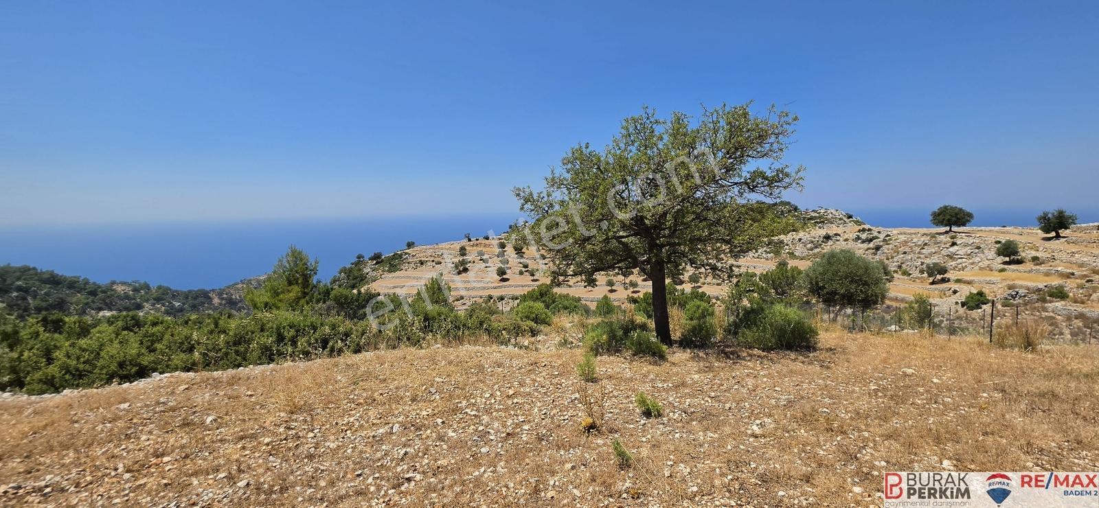 Seydikemer Yediburunlarda 4.138 M² Deniz Manzaralı Satılık Tarla — fotoğraf 6