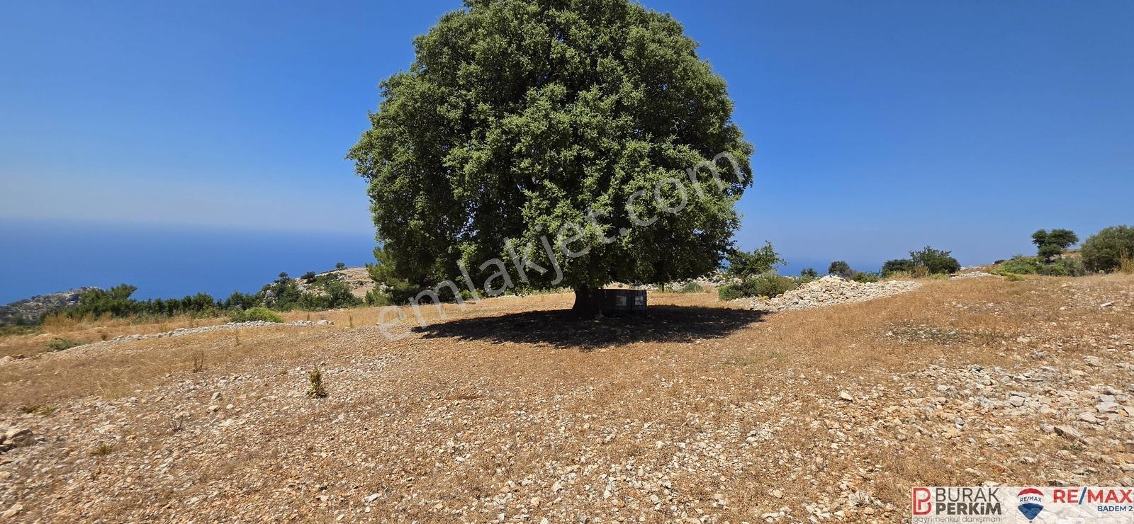Seydikemer Yediburunlarda 4.138 M² Deniz Manzaralı Satılık Tarla — fotoğraf 14
