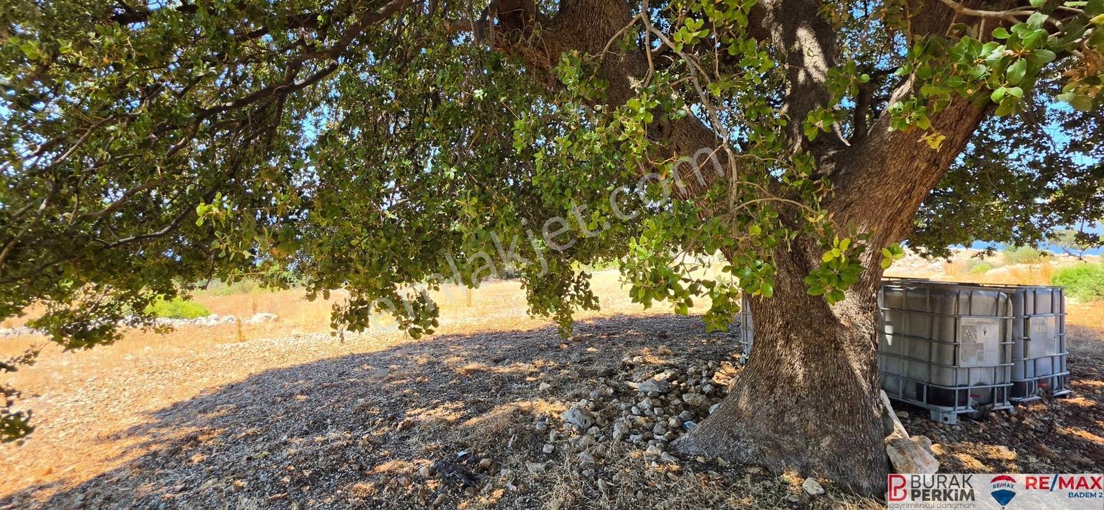Seydikemer Yediburunlarda 4.138 M² Deniz Manzaralı Satılık Tarla — fotoğraf 17