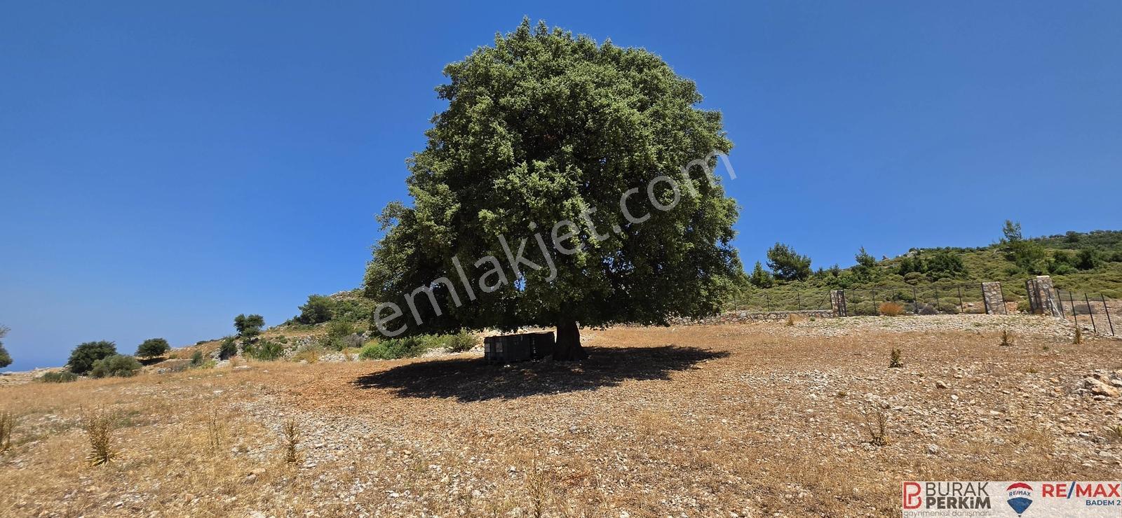 Seydikemer Yediburunlarda 4.138 M² Deniz Manzaralı Satılık Tarla — fotoğraf 19