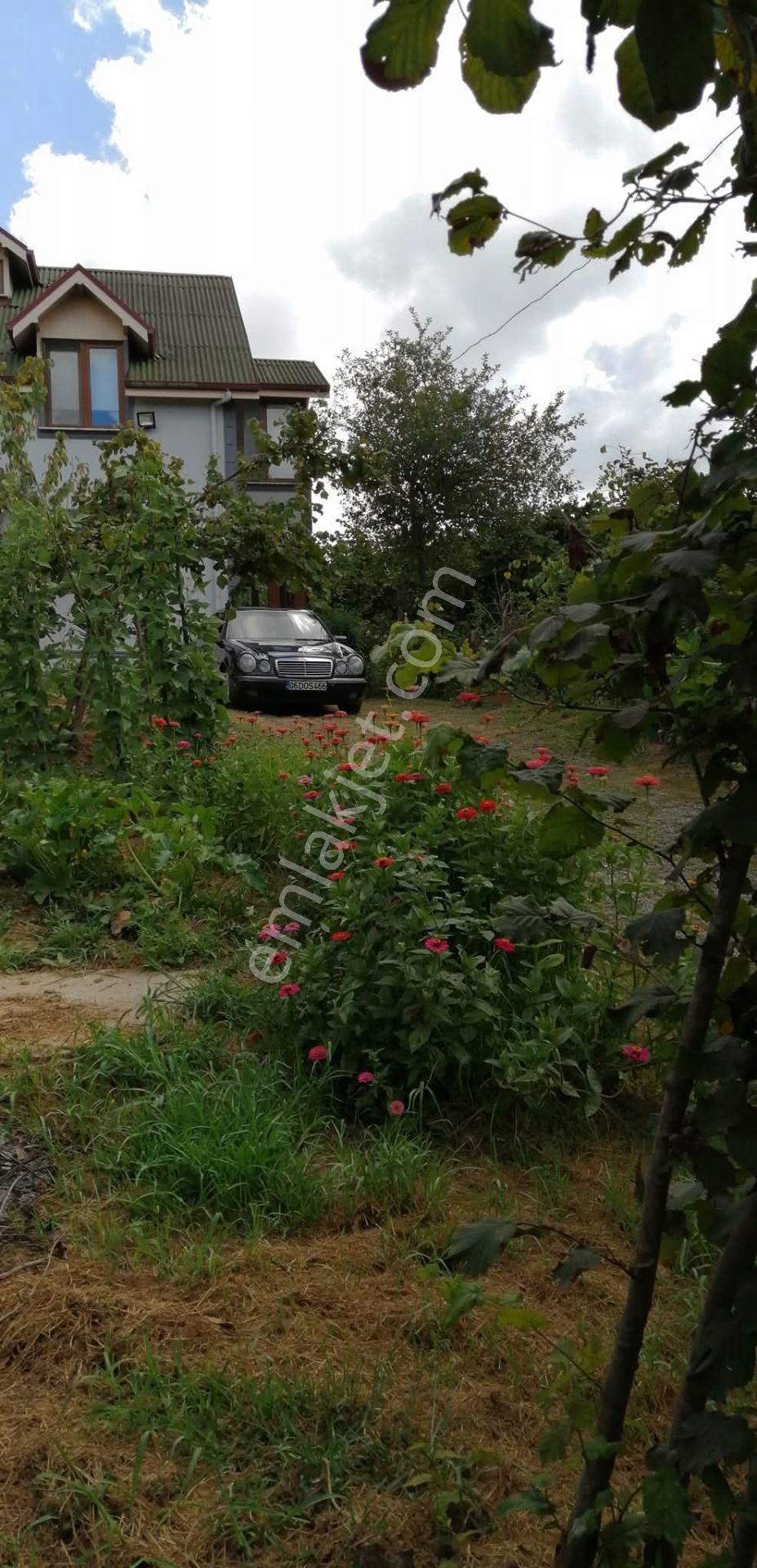 Kandıra Karaağaç' Ta 1280m² Arsa İçinde Hazır Bahçeli Villa — fotoğraf 27