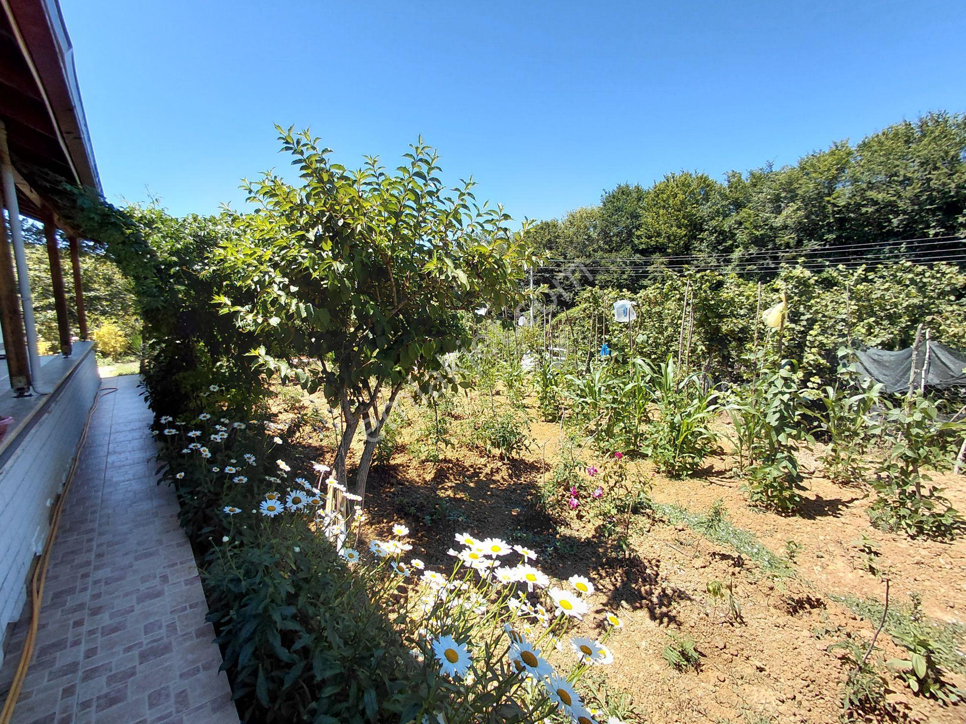 Kandıra Karaağaç' Ta 1280m² Arsa İçinde Hazır Bahçeli Villa — fotoğraf 28