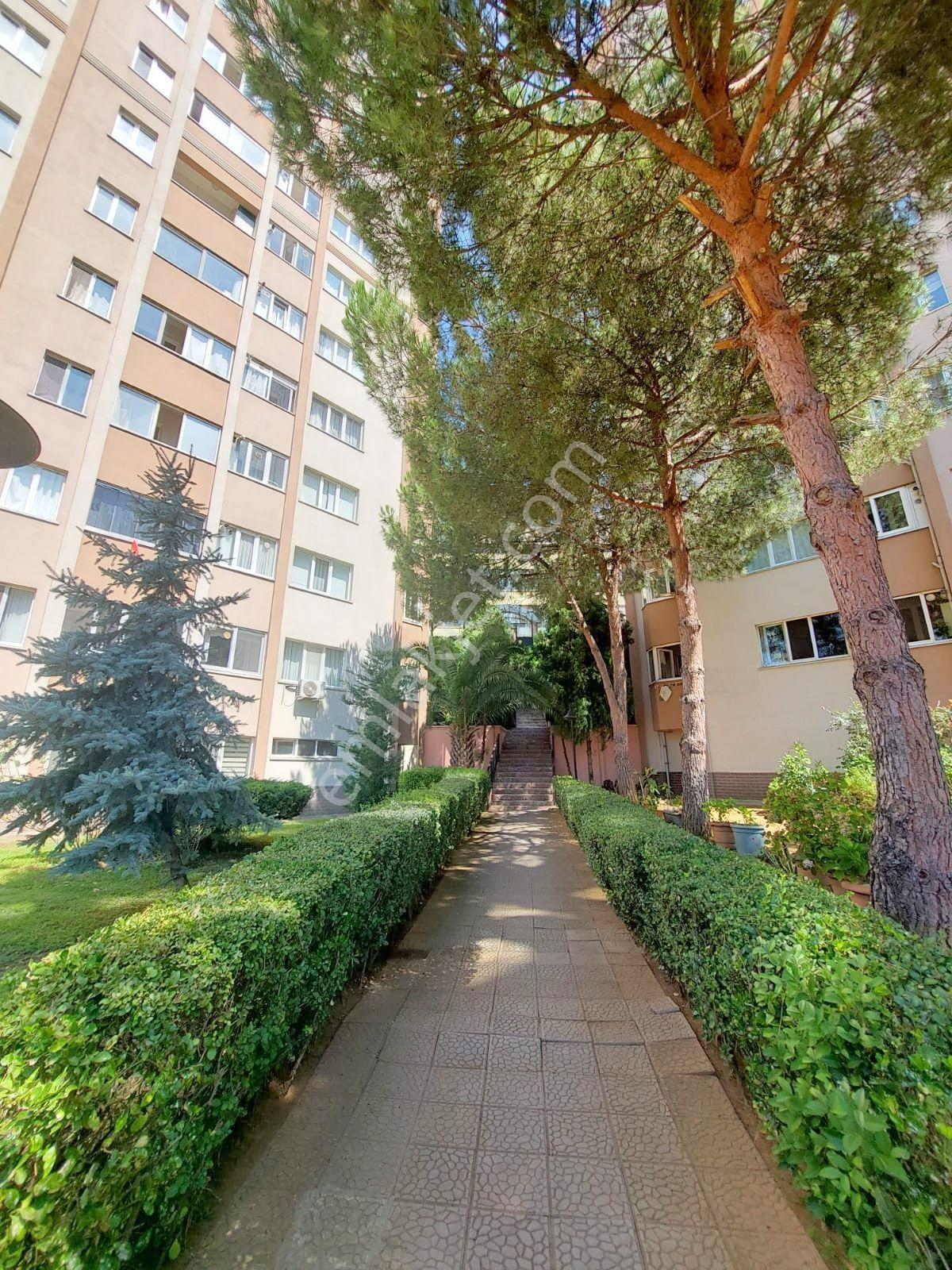 Mertcan'dan Hürriyet Mah İskanlı Site İçi Balkonlu 3+1 Daire — fotoğraf 19