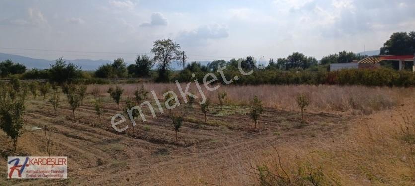Sakarya Pamukova Oruçlu Mah.d650 Karayoluna Cephe İmarlı Arazi — fotoğraf 4