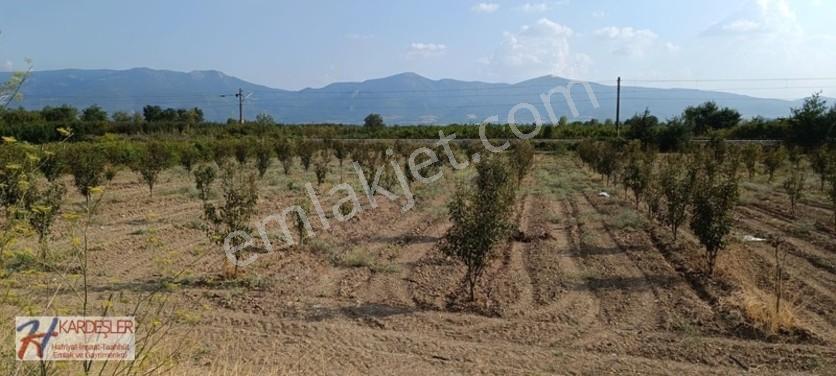 Sakarya Pamukova Oruçlu Mah.d650 Karayoluna Cephe İmarlı Arazi — fotoğraf 5