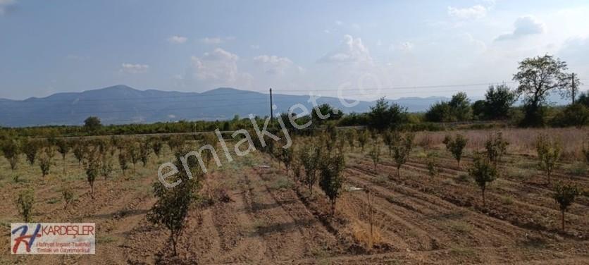 Sakarya Pamukova Oruçlu Mah.d650 Karayoluna Cephe İmarlı Arazi — fotoğraf 7