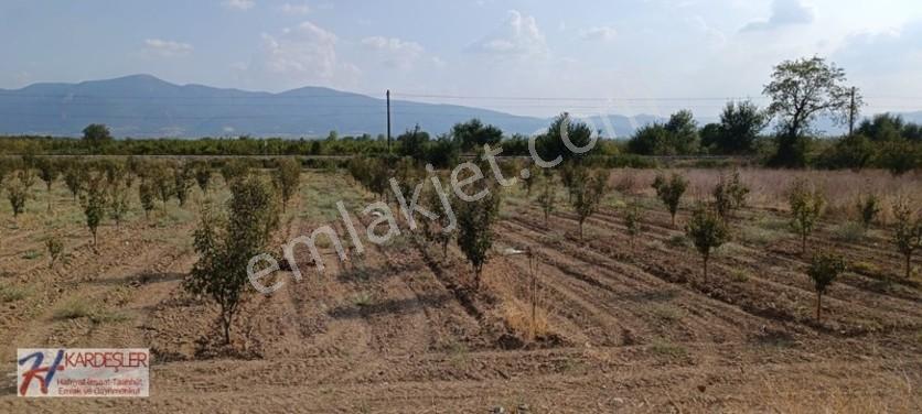 Sakarya Pamukova Oruçlu Mah.d650 Karayoluna Cephe İmarlı Arazi — fotoğraf 8