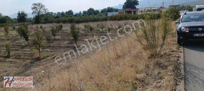 Sakarya Pamukova Oruçlu Mah.d650 Karayoluna Cephe İmarlı Arazi — fotoğraf 11