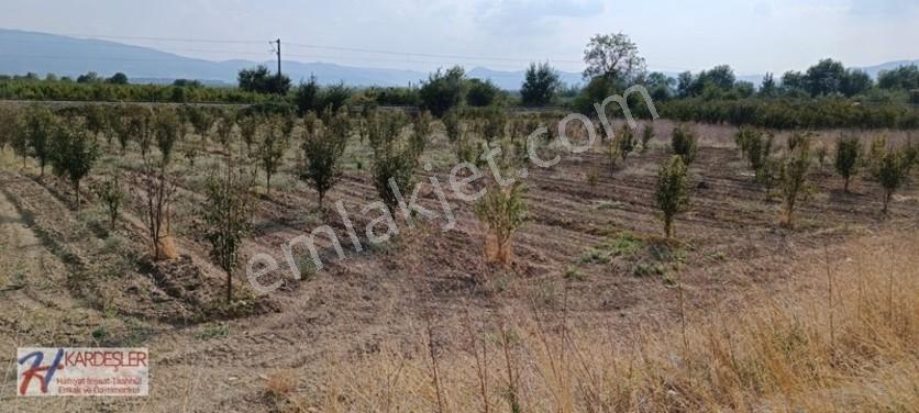 Sakarya Pamukova Oruçlu Mah.d650 Karayoluna Cephe İmarlı Arazi — fotoğraf 12