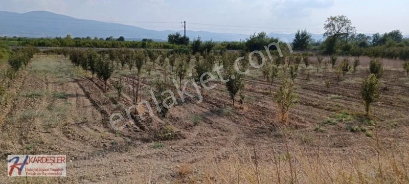 Sakarya Pamukova Oruçlu Mah.d650 Karayoluna Cephe İmarlı Arazi — fotoğraf 13