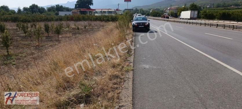 Sakarya Pamukova Oruçlu Mah.d650 Karayoluna Cephe İmarlı Arazi — fotoğraf 16