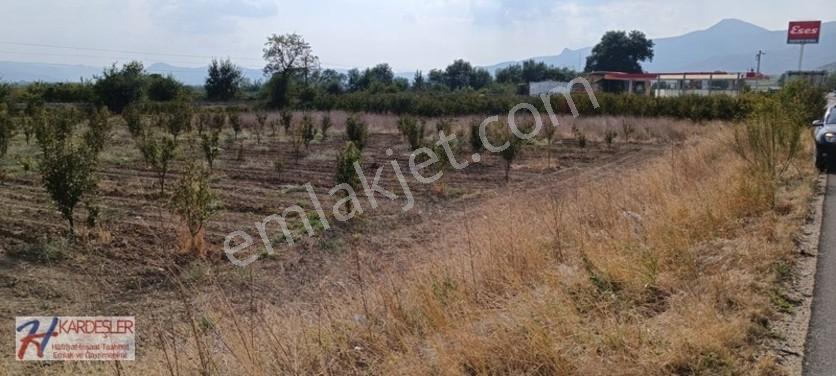 Sakarya Pamukova Oruçlu Mah.d650 Karayoluna Cephe İmarlı Arazi — fotoğraf 19