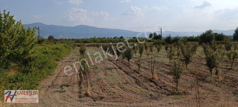 Sakarya Pamukova Oruçlu Mah.d650 Karayoluna Cephe İmarlı Arazi — fotoğraf 20