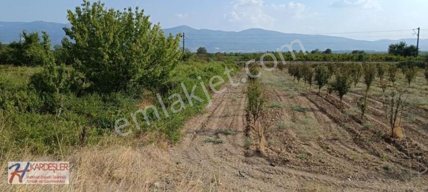 Sakarya Pamukova Oruçlu Mah.d650 Karayoluna Cephe İmarlı Arazi — fotoğraf 21