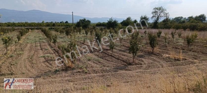 Sakarya Pamukova Oruçlu Mah.d650 Karayoluna Cephe İmarlı Arazi — fotoğraf 22
