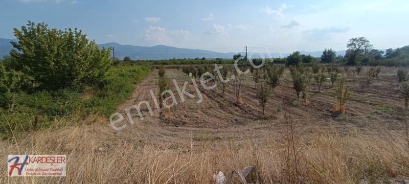 Sakarya Pamukova Oruçlu Mah.d650 Karayoluna Cephe İmarlı Arazi — fotoğraf 23