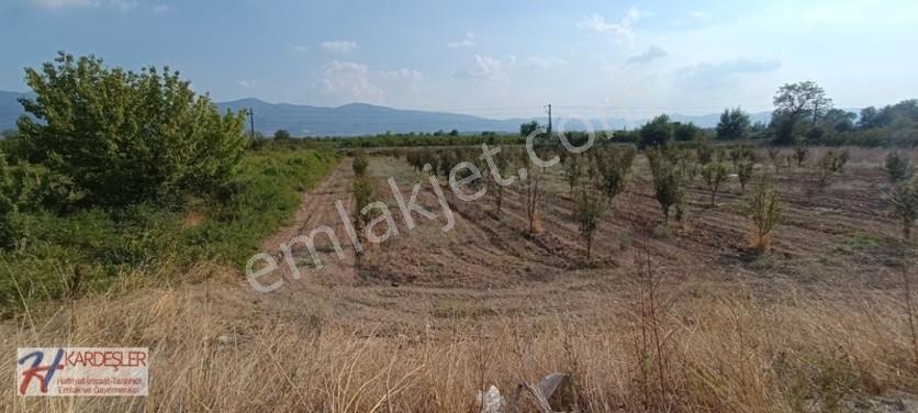 Sakarya Pamukova Oruçlu Mah.d650 Karayoluna Cephe İmarlı Arazi — fotoğraf 24