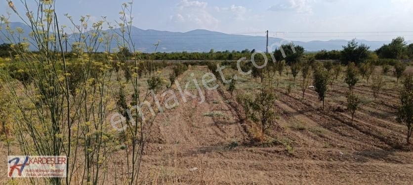 Sakarya Pamukova Oruçlu Mah.d650 Karayoluna Cephe İmarlı Arazi — fotoğraf 28