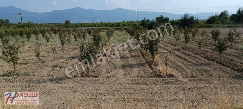 Sakarya Pamukova Oruçlu Mah.d650 Karayoluna Cephe İmarlı Arazi — fotoğraf 30