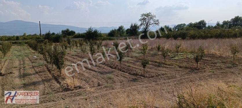 Sakarya Pamukova Oruçlu Mah.d650 Karayoluna Cephe İmarlı Arazi — fotoğraf 31