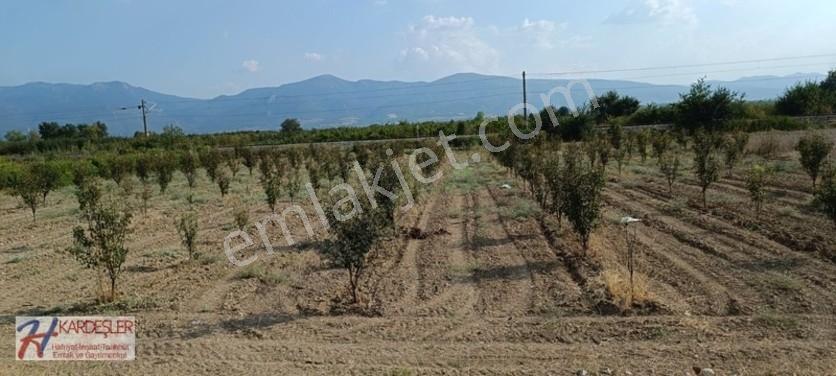 Sakarya Pamukova Oruçlu Mah.d650 Karayoluna Cephe İmarlı Arazi — fotoğraf 34
